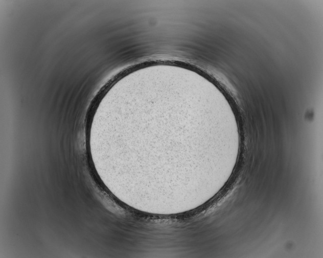 X0000100350934200807031810