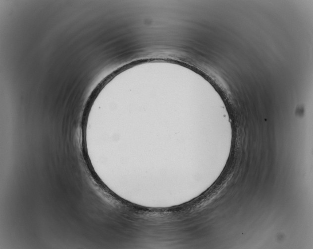 X0000100350936200807031810