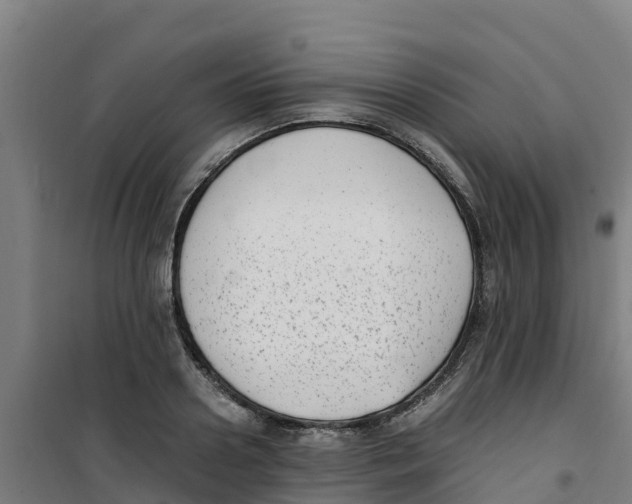 X0000100350938200807031810