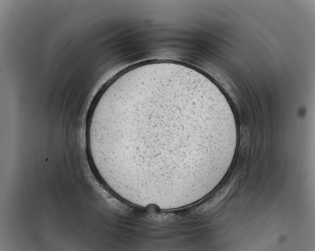 X0000100350939200807031810