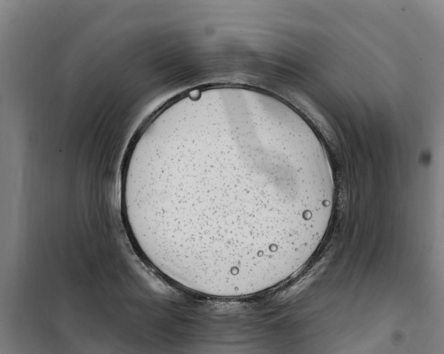 X0000100350940200807031810