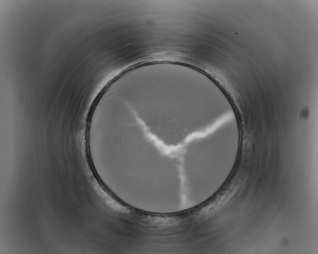 X0000100350941200807031810