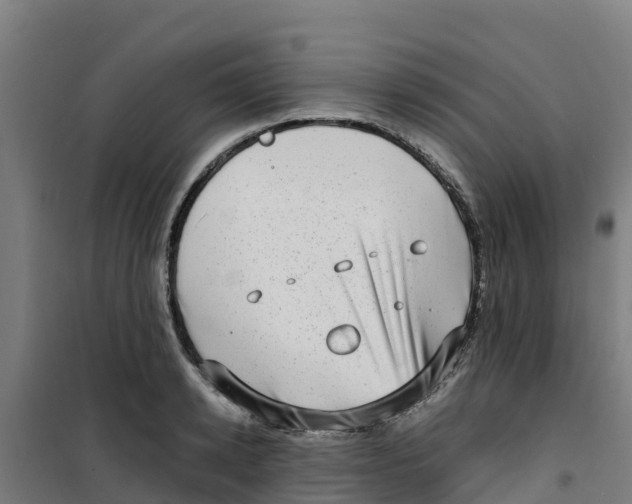 X0000100350942200807031810