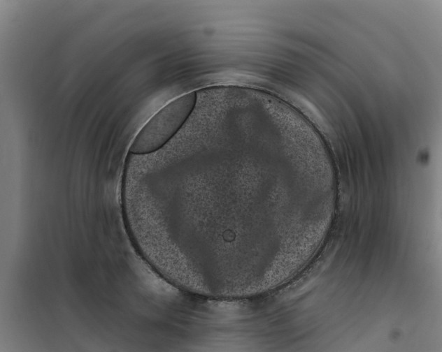 X0000100350946200807031811