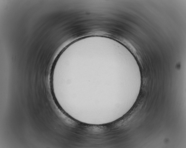 X0000100350947200807031811