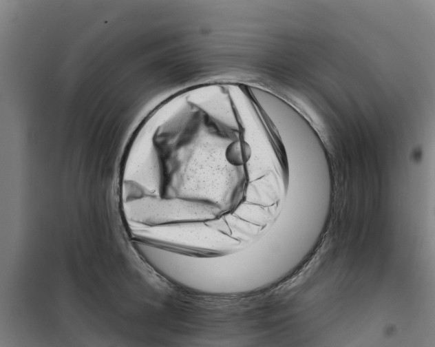 X0000100350948200807031811