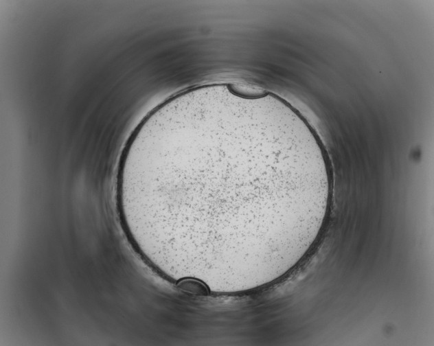 X0000100350949200807031811