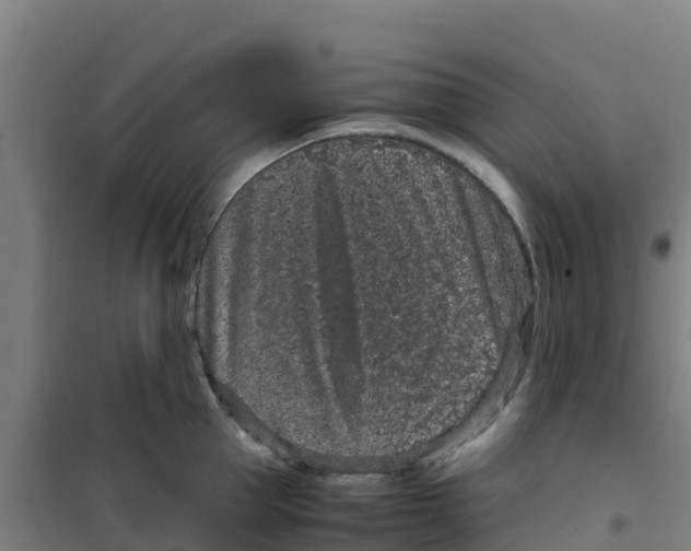 X0000100350953200807031811