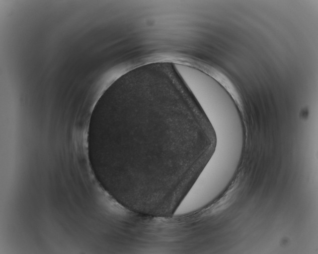 X0000100350954200807031811