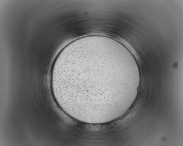 X0000100350955200807031811