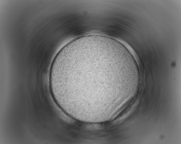 X0000100350957200807031811