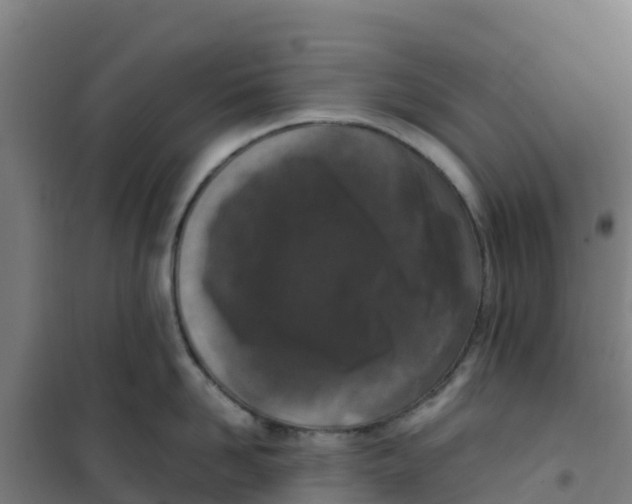 X0000100350958200807031811