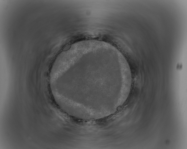 X0000100350961200807031810