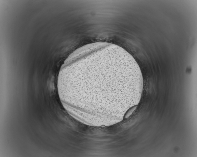 X0000100350962200807031810