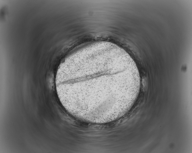 X0000100350963200807031810