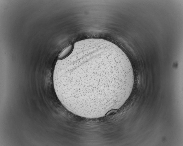 X0000100350964200807031810