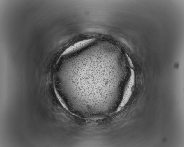 X0000100350965200807031810