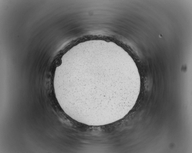 X0000100350968200807031810