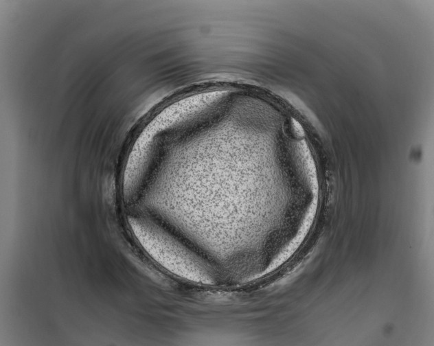 X0000100350969200807031810