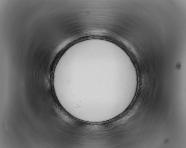 X0000100350970200807031810