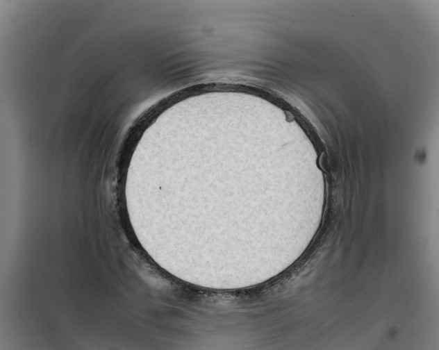 X0000100350971200807031810