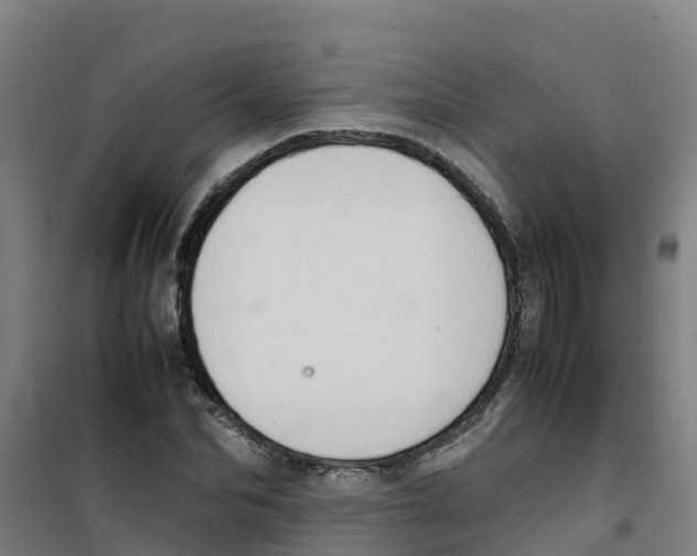 X0000100350974200807031810