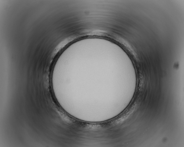 X0000100350978200807031810