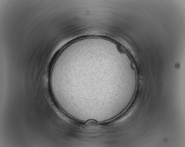 X0000100350981200807031810