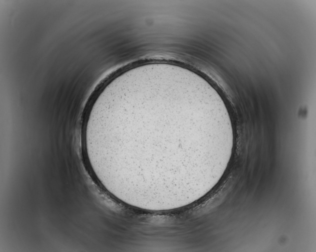 X0000100350984200807031810