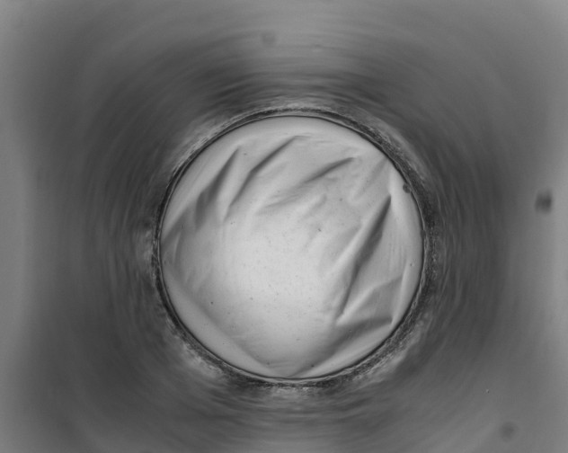 X0000100350985200807031810