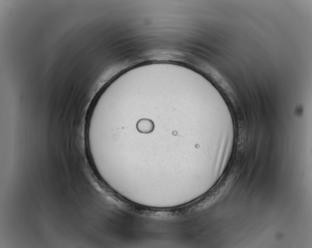 X0000100350986200807031810