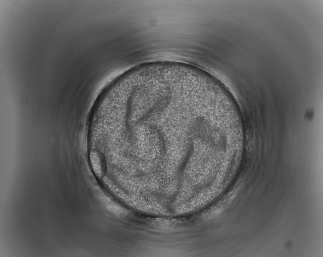 X0000100350987200807031810