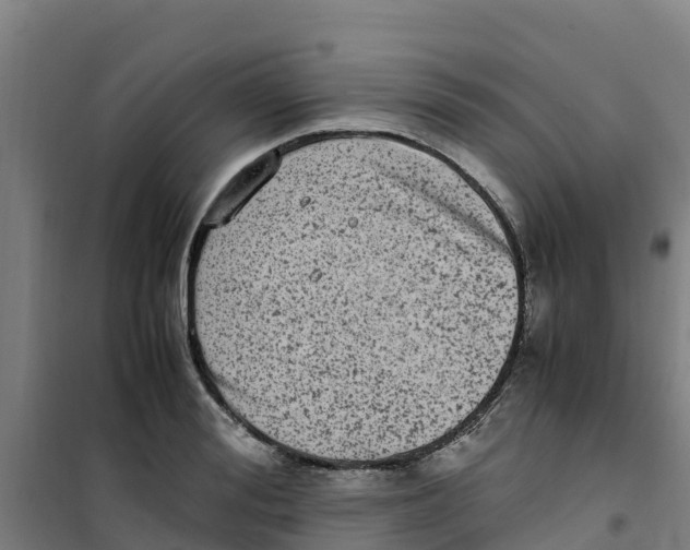 X0000100350988200807031810