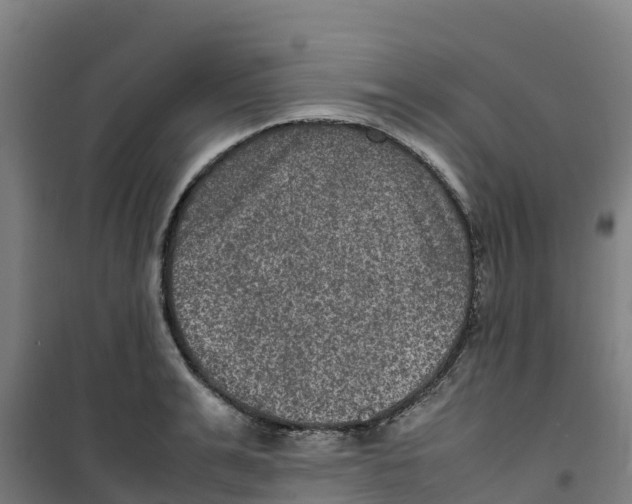 X0000100350991200807031810