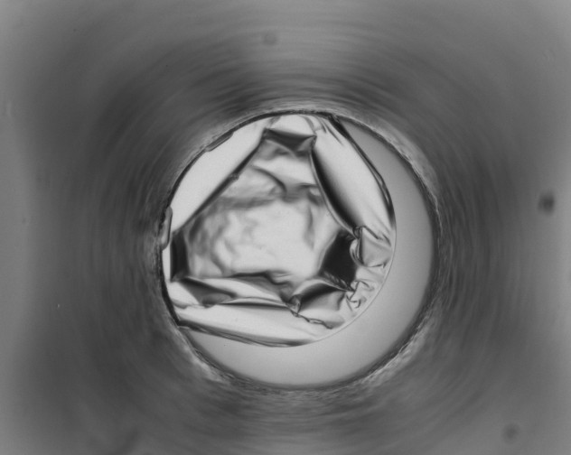 X0000100350993200807031810