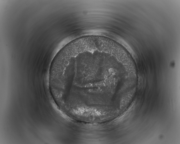 X0000100350994200807031810