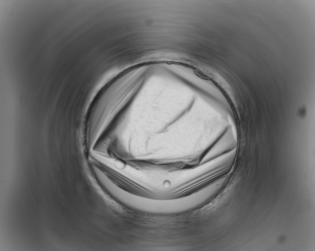 X0000100350997200807031810