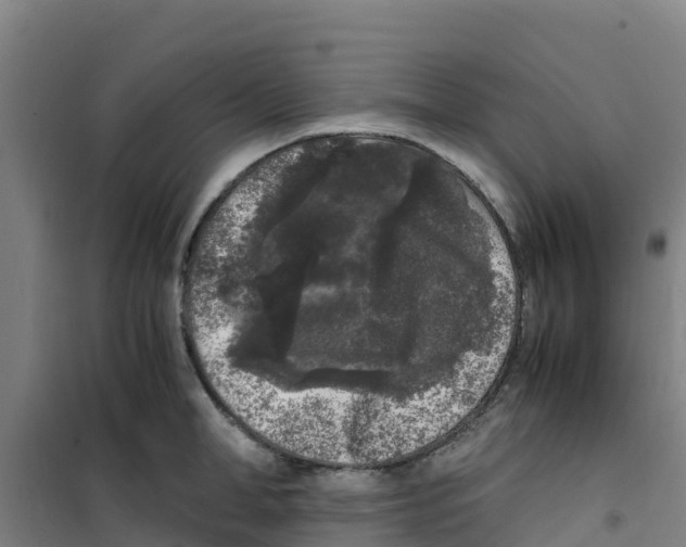 X0000100350998200807031810