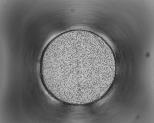 X0000100350999200807031810