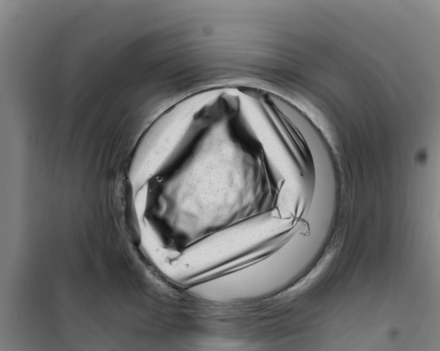 X0000100351001200807031809