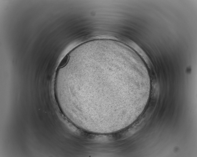 X0000100351002200807031809