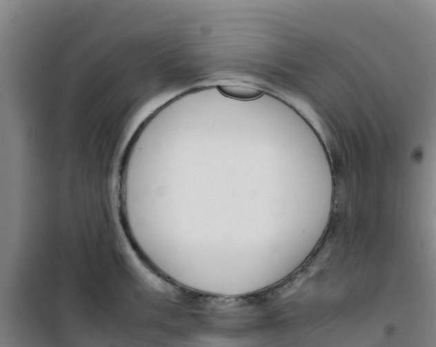 X0000100351003200807031809