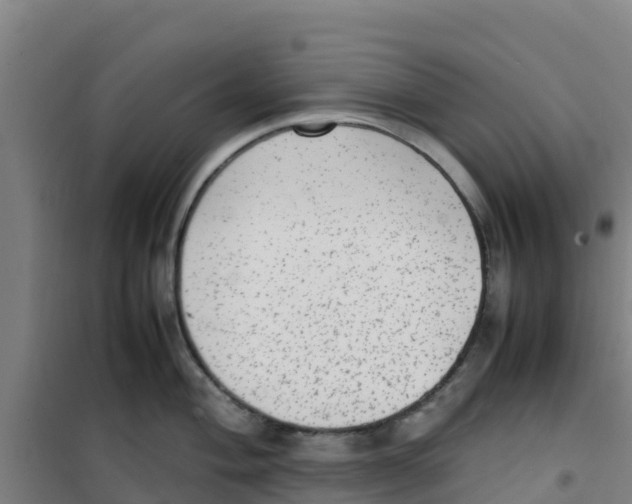 X0000100351004200807031809