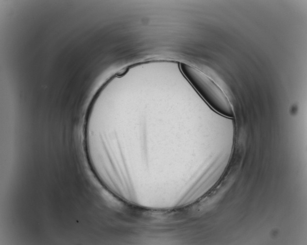 X0000100351005200807031809