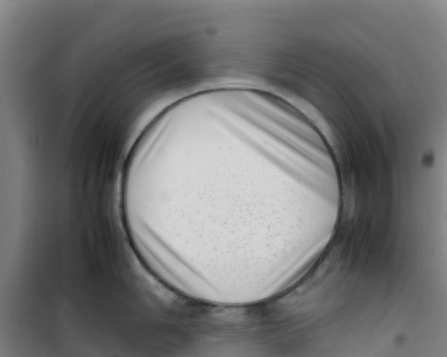 X0000100351006200807031809