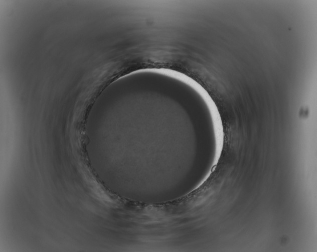 X0000100351009200807031809