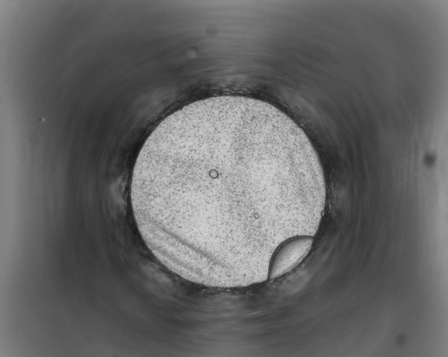 X0000100351010200807031809