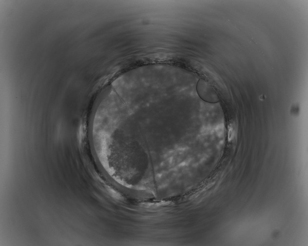 X0000100351011200807031809