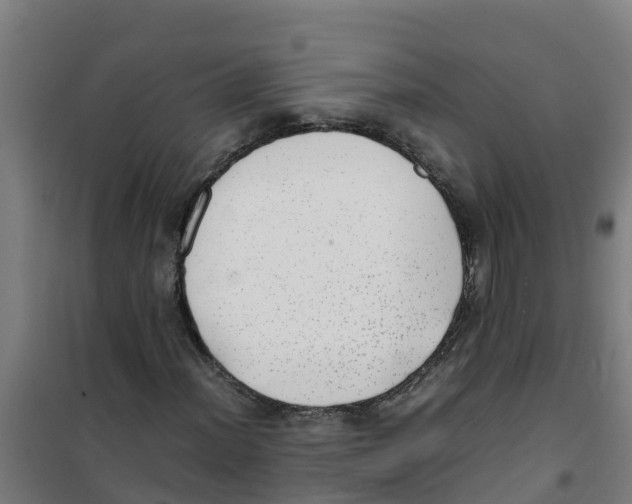 X0000100351012200807031809