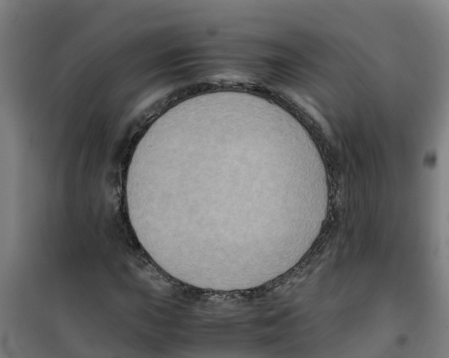 X0000100351015200807031809